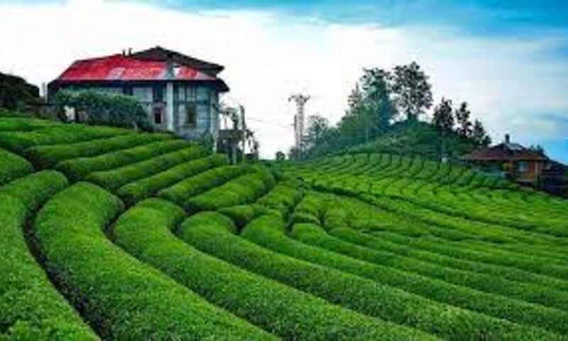 Antalya Çıkışlı Kuzey Yıldızı Doğu Karadeniz ve Batum Turu (4 Gece Otel Konaklamalı)